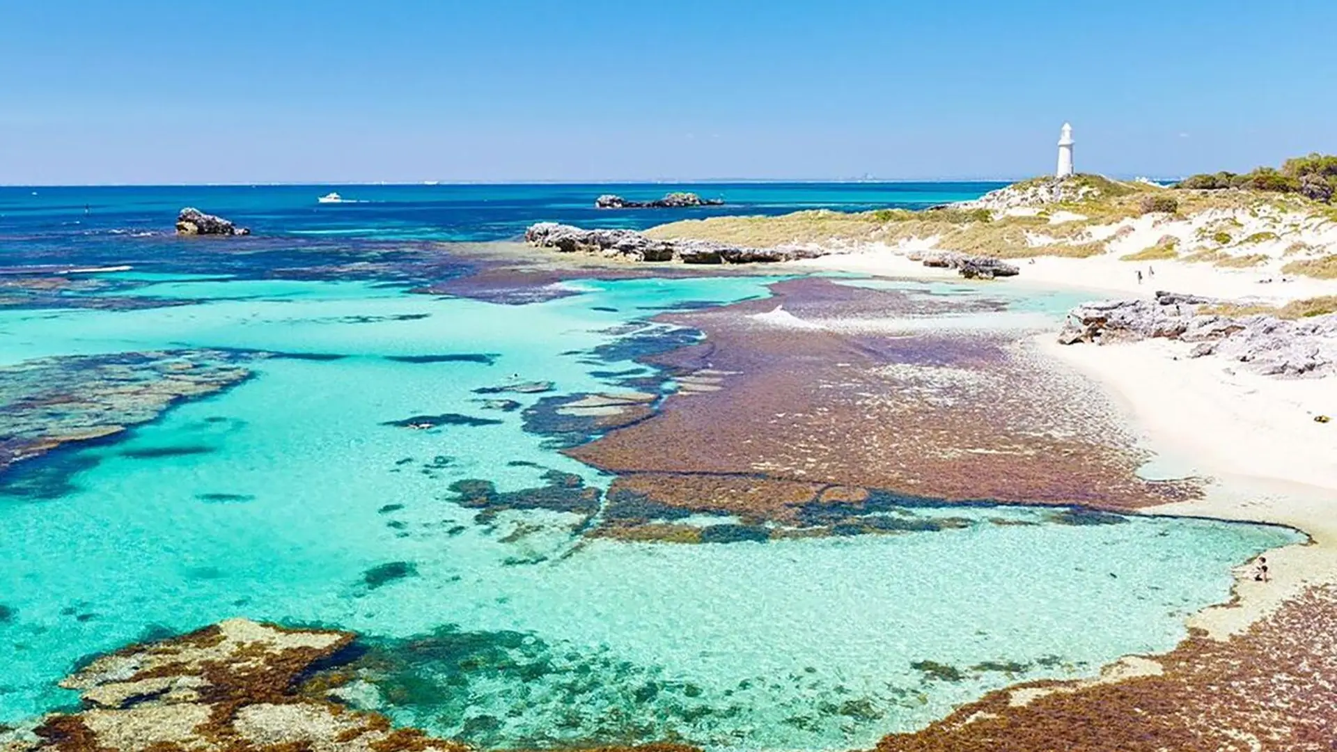 The turquoise lagoon of a Rottnest Island bay with a reef, white sand and a lighthouse in the distance, from the ferry and bus tour listing
